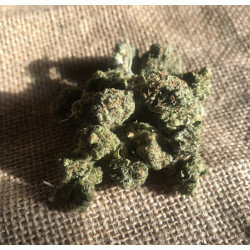 Fleurs de Cbd ‘ Orange bud’´